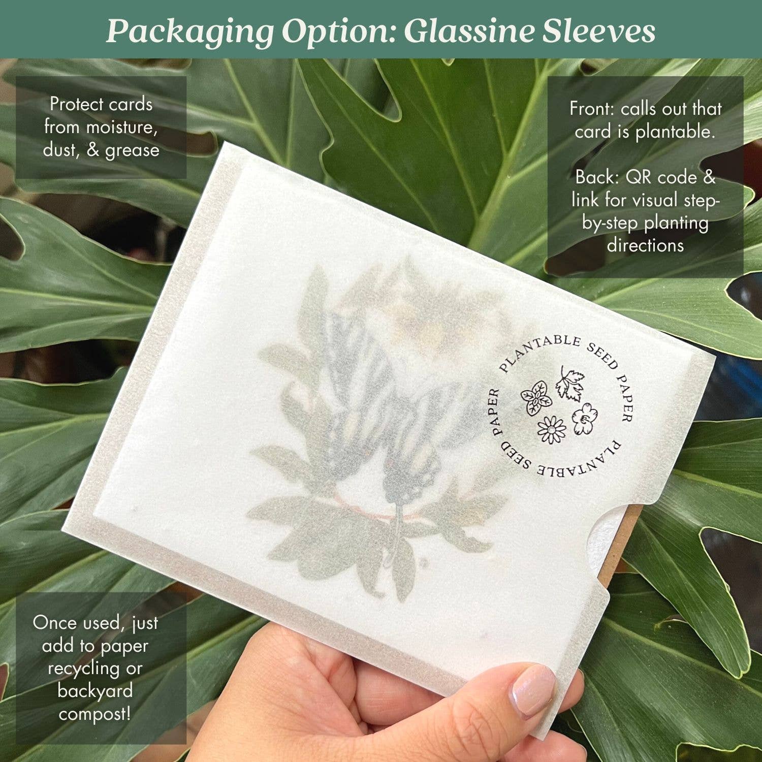 mushroom card sleeves Space Moon Binder, 9 Pocket Trading Card Album Folder Side Loading 360 Pockets Premium PU Card Book Card Holder Binder Card Album for Game Cards/Sports Cards : Toys Packed in a cello sleeve with corresponding envelope (color may vary) The Forest of Keilah Card
